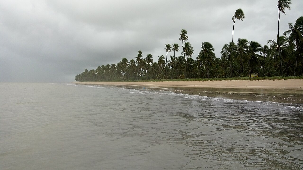 Praia de Japaratinga com coqueiros, areia clara e mar azul