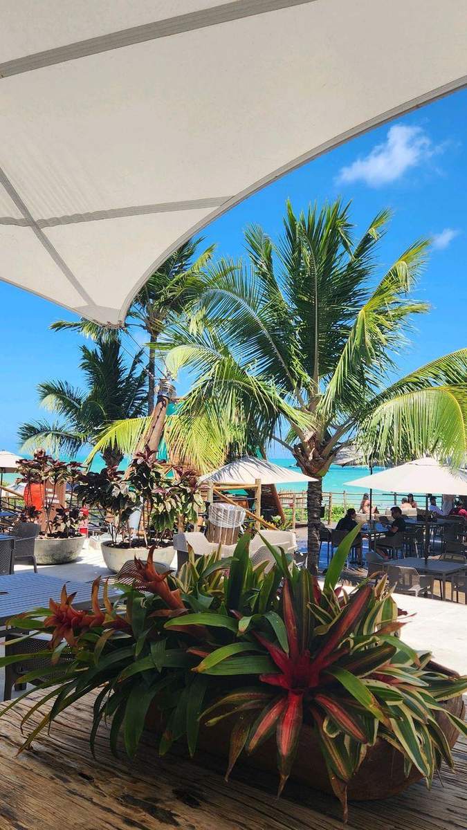 Beach club Lontra Beach Club em Carro Quebrado